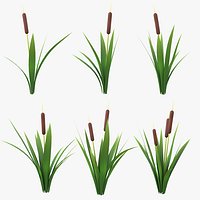 Cartoon Cattail Collection