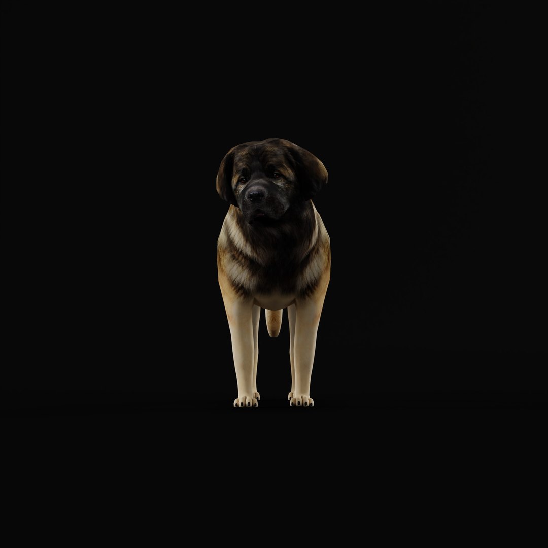 Leonberger Dog model https://p.turbosquid.com/ts-thumb/lm/k2eiSR/2E/leonbergerdogao_0001/jpg/1768591407/1920x1080/fit_q87/b1f89712b29967d6878d4d6d005e872d57c2f7d6/leonbergerdogao_0001.jpg