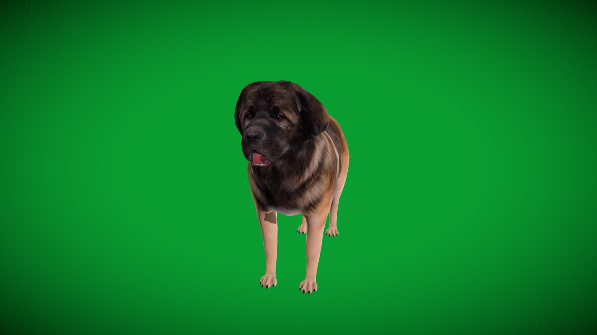 Leonberger Dog model https://p.turbosquid.com/ts-thumb/lm/k2eiSR/2M/leonberger_dogs29/png/1768591402/1920x1080/fit_q87/b5db73040d51222e2d4a17ec6072052fb31a1246/leonberger_dogs29.jpg