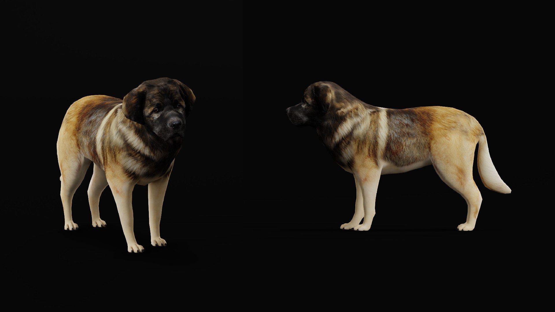 Leonberger Dog model https://p.turbosquid.com/ts-thumb/lm/k2eiSR/MY/leonberger_dogs4/png/1768591376/1920x1080/fit_q87/230d76c9500bb4e3c3615b2ad75f4fb62504597b/leonberger_dogs4.jpg