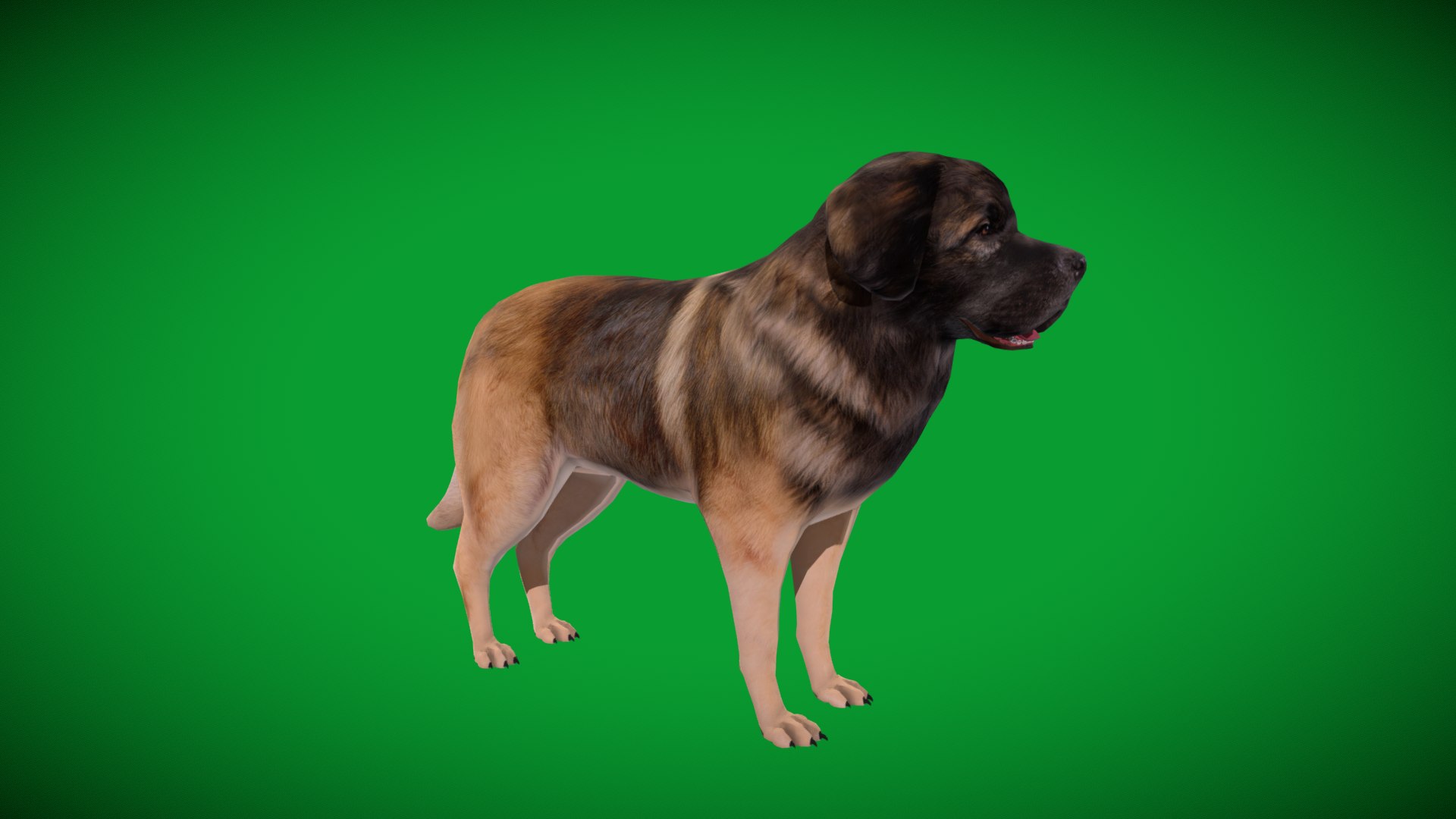 Leonberger Dog model https://p.turbosquid.com/ts-thumb/lm/k2eiSR/Uf/leonberger_dogs3/png/1768591382/1920x1080/fit_q87/ae0ce5a7f42445a279161ca09d60ea238975cc14/leonberger_dogs3.jpg