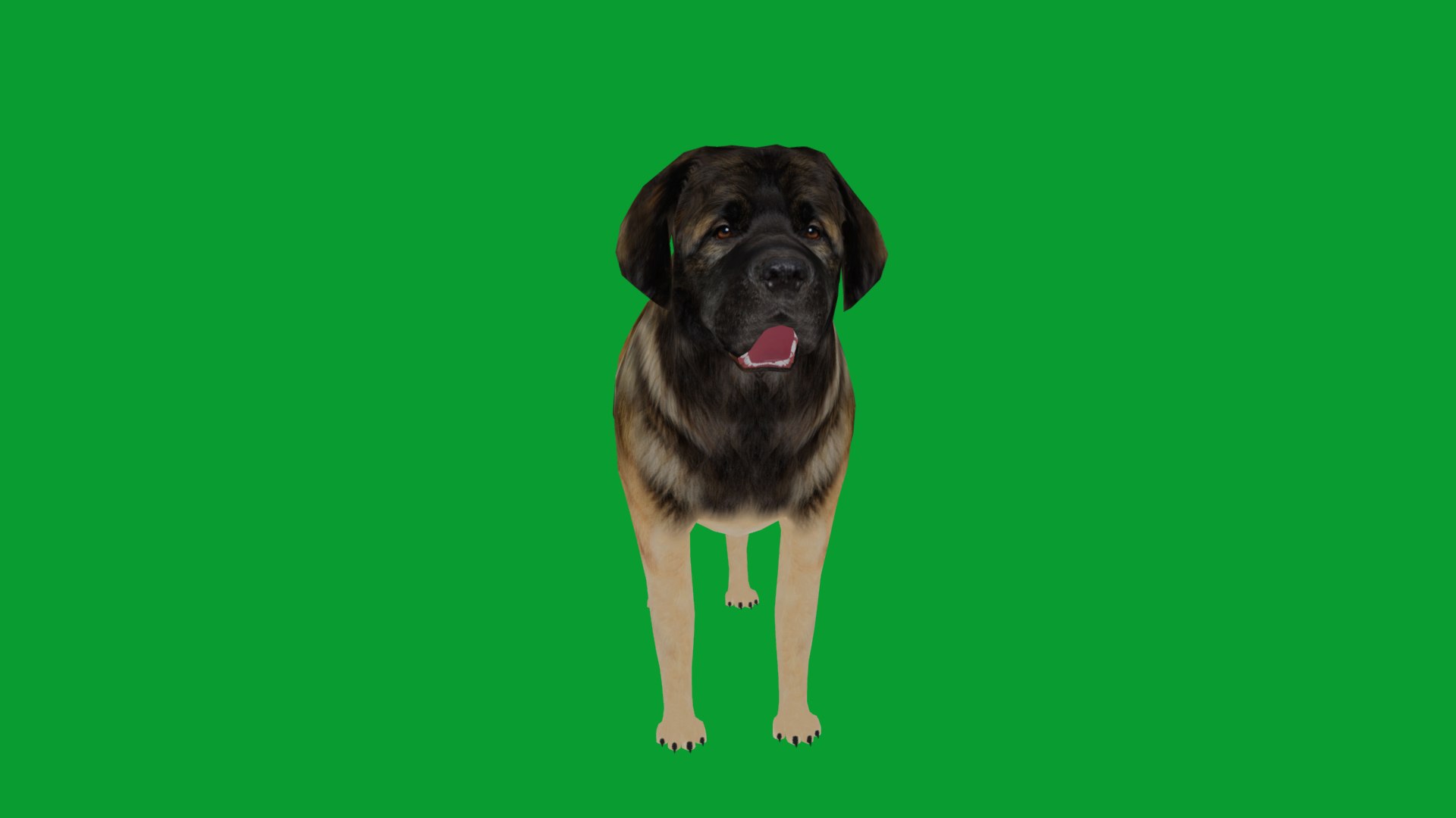 Leonberger Dog model https://p.turbosquid.com/ts-thumb/lm/k2eiSR/VX/leonberger_dogs5/png/1768591377/1920x1080/fit_q87/de424345a5c111249b5e70c4a7e63d032a49a044/leonberger_dogs5.jpg