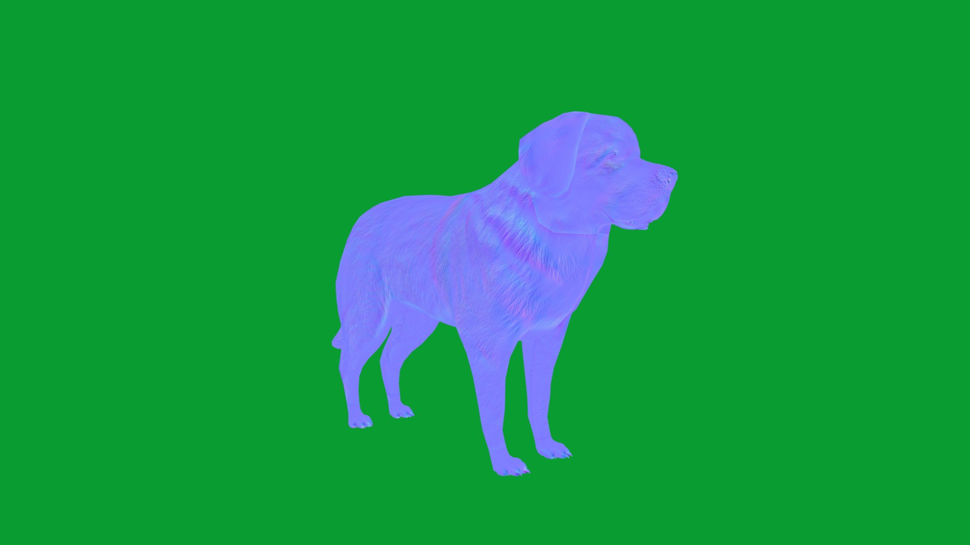 Leonberger Dog model https://p.turbosquid.com/ts-thumb/lm/k2eiSR/aN/leonberger_dogs12/png/1768591385/1920x1080/fit_q87/84f13c76595d031149d4f999752badc409f7a57d/leonberger_dogs12.jpg
