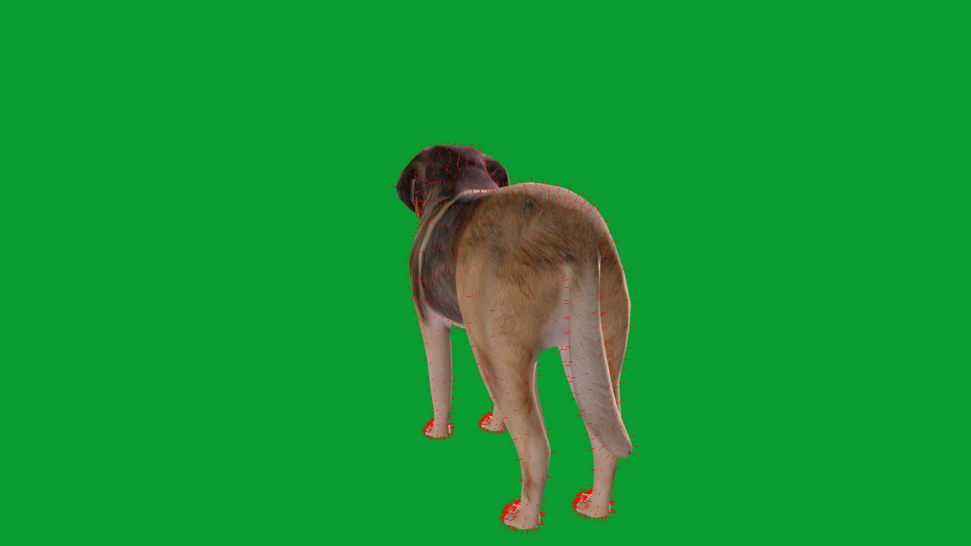 Leonberger Dog model https://p.turbosquid.com/ts-thumb/lm/k2eiSR/gd/leonberger_dogs23/png/1768591391/1920x1080/fit_q87/204ed3ea3ebaec28e85c272949d2cdfff09109bd/leonberger_dogs23.jpg