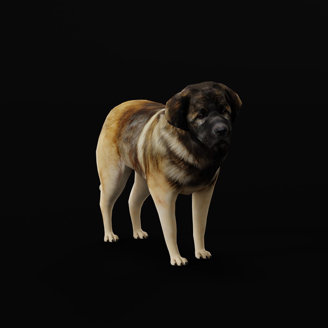 Leonberger Dog model https://p.turbosquid.com/ts-thumb/lm/k2eiSR/nY/leonbergerdogao/jpg/1768591401/1920x1080/fit_q87/a0bf91257454647c203638c18453b1b4f769bb83/leonbergerdogao.jpg