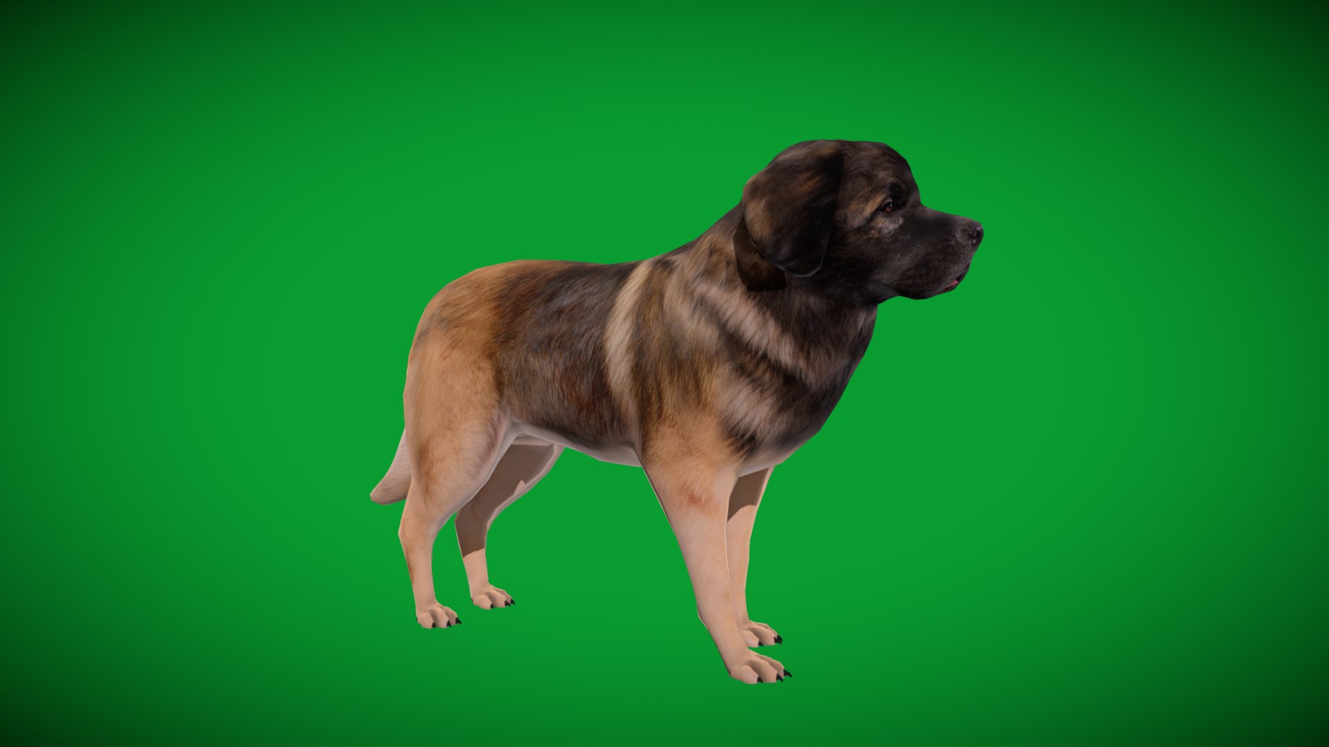 Leonberger Dog model https://p.turbosquid.com/ts-thumb/lm/k2eiSR/zp/leonberger_dogs1/png/1768591373/1920x1080/fit_q87/5f36f631d288011a10796fad1d14e737c9399214/leonberger_dogs1.jpg