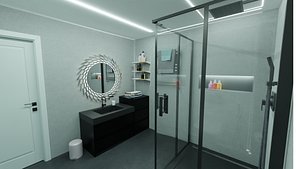 Bathroom interiors