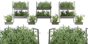 Collection plant vol 152 - blender model 3D model