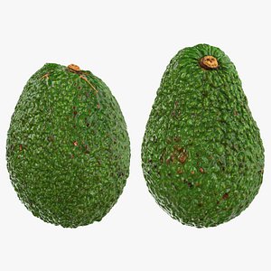 3D Whole Avocado Collection
