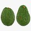 Collezione di avocado