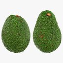 Collezione di avocado