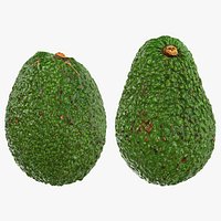 Whole Avocado Collection