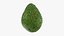 Collezione di avocado