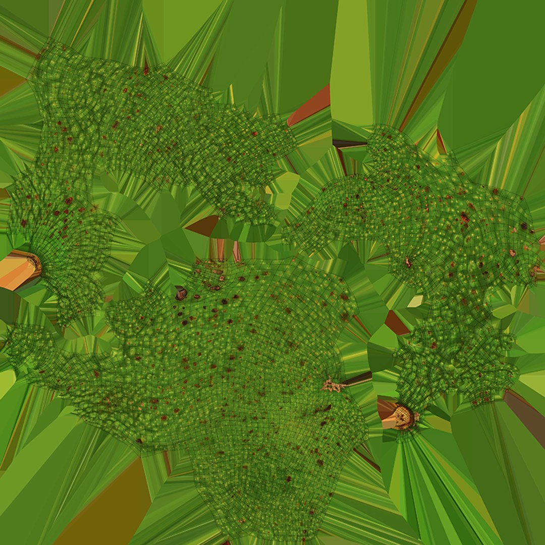 3D Whole Avocado Collection https://p.turbosquid.com/ts-thumb/ln/OF1wg5/s6/avocadowhole01_c0004/png/1761114056/1920x1080/fit_q87/b07354055db8392e03e3a6226bba64b65d53d641/avocadowhole01_c0004.jpg