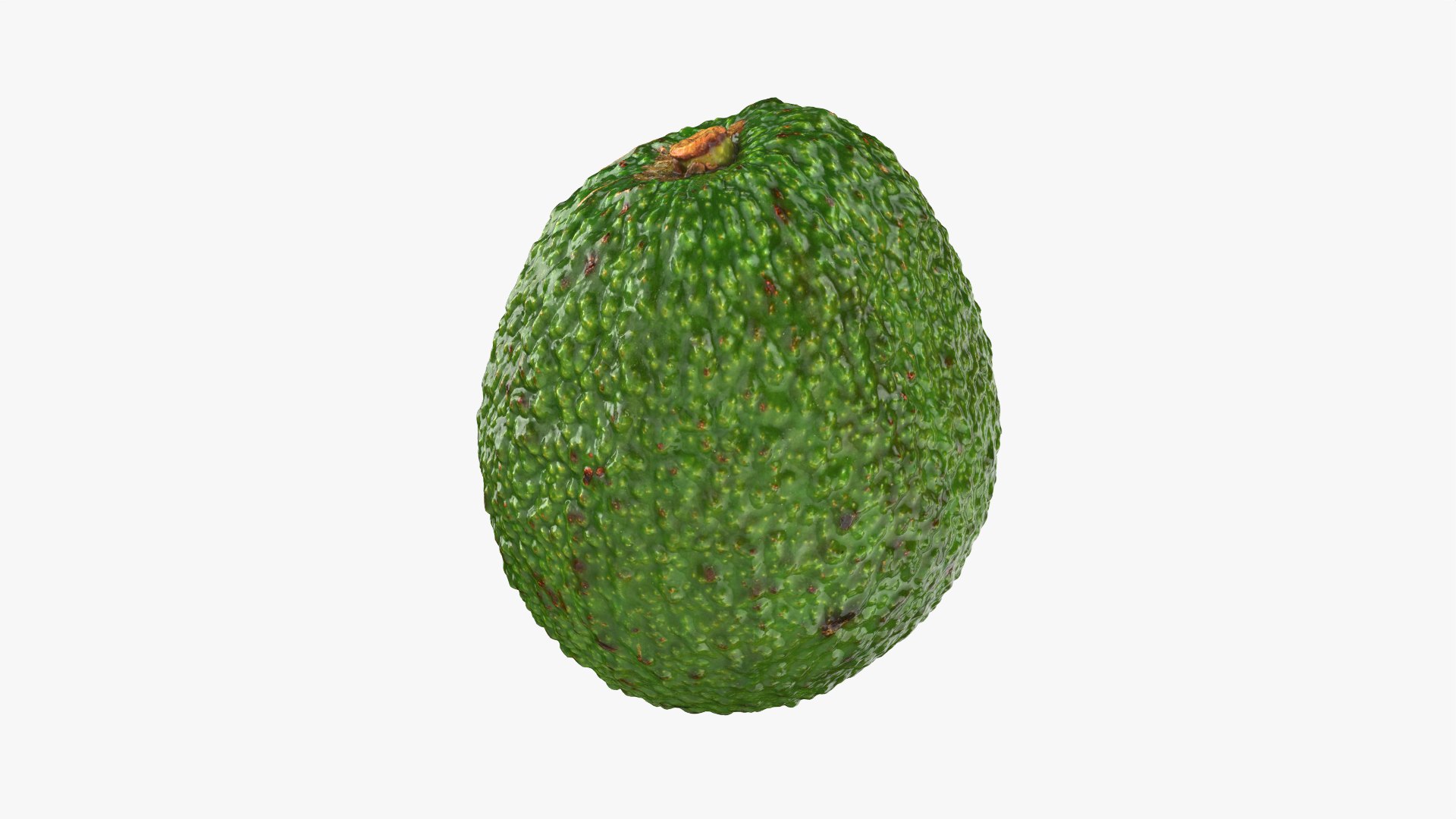 3D Whole Avocado Collection https://p.turbosquid.com/ts-thumb/ln/OF1wg5/xt/avocadowhole02_0011/png/1761114088/1920x1080/fit_q87/7caa988ae451f1b904e523517da5672c8cda0038/avocadowhole02_0011.jpg