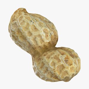 3D model Peanut Shell 01 Raw Scan