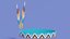 Native American Headband 3D model