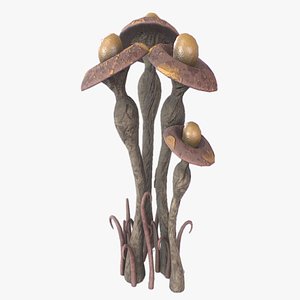 Fantasy plant model
