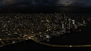 Miami City Night