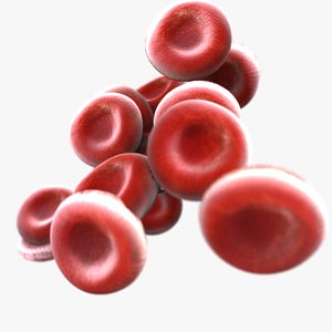 human blood cells model