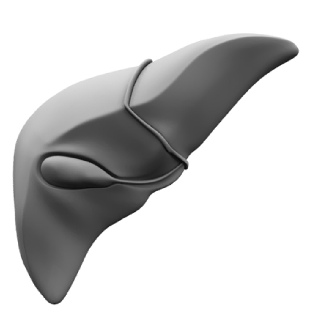 liver 3d model https://p.turbosquid.com/ts-thumb/ln/kjoWfE/VNkEYTso/livers/jpg/1196003070/1920x1080/fit_q87/5ea55283eea7d4f563ee529ecaa0a8532842ff24/livers.jpg