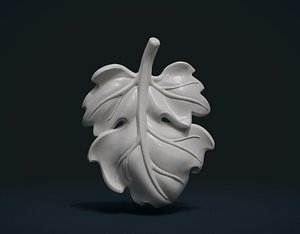 3D fig leaf ready printing