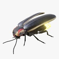 Animated Glowing FireFly Bug