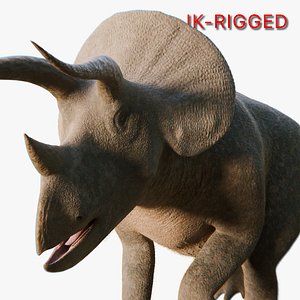 Triceratops Rigged 3D Model 3D model