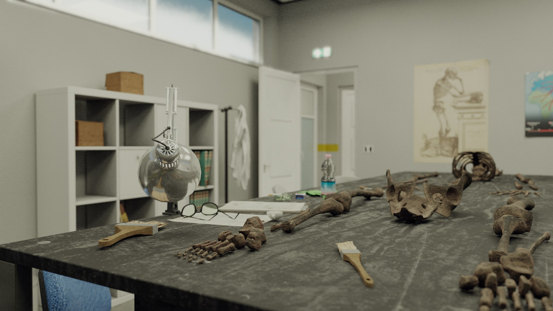 Anthropologist - Lab Pack - Blender And FBX 3D Model - TurboSquid 1729043