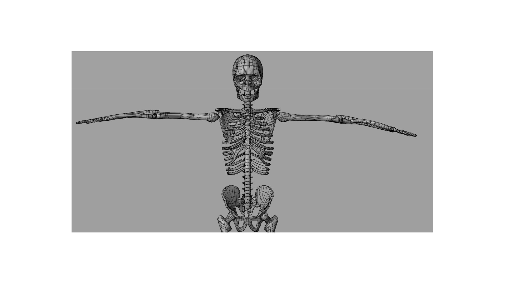 3D Character Skeleton - Rigged - Textured - TurboSquid 2275613