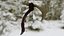 Bone Scythe