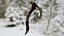 Bone Scythe