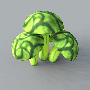 Medium Poly Fungi