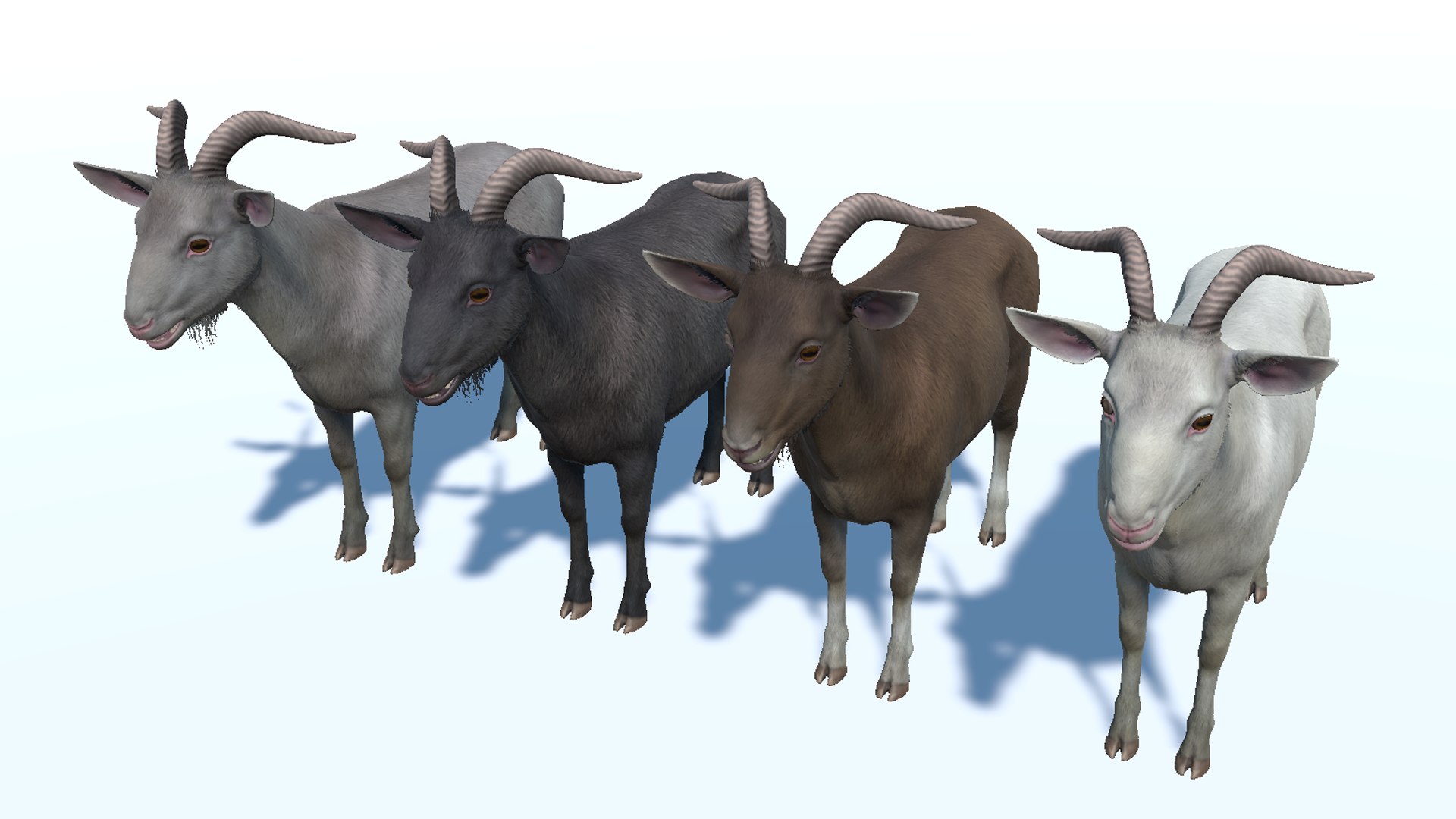 Goat - Male Model - TurboSquid 2381981