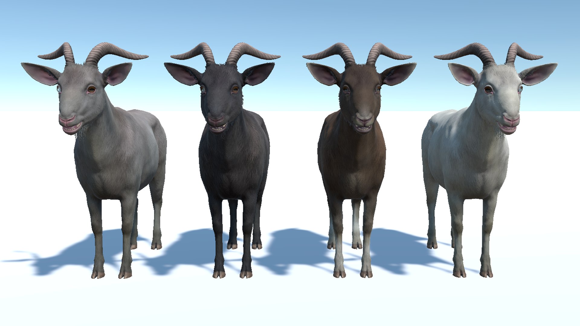 Goat - Male Model - TurboSquid 2381981