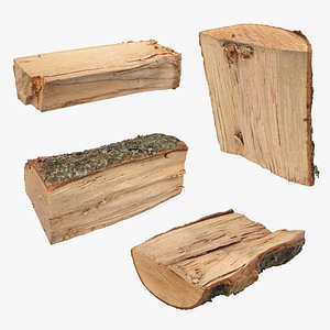 3D model Firewood Collection