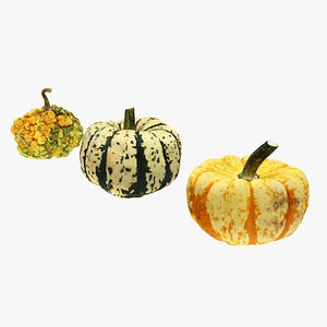 3D Fancy pumpkins 1