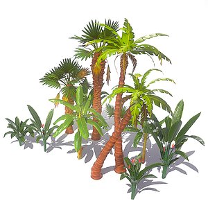 Tropical Plants Pack