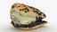 Puff Pastry Black Bean Set