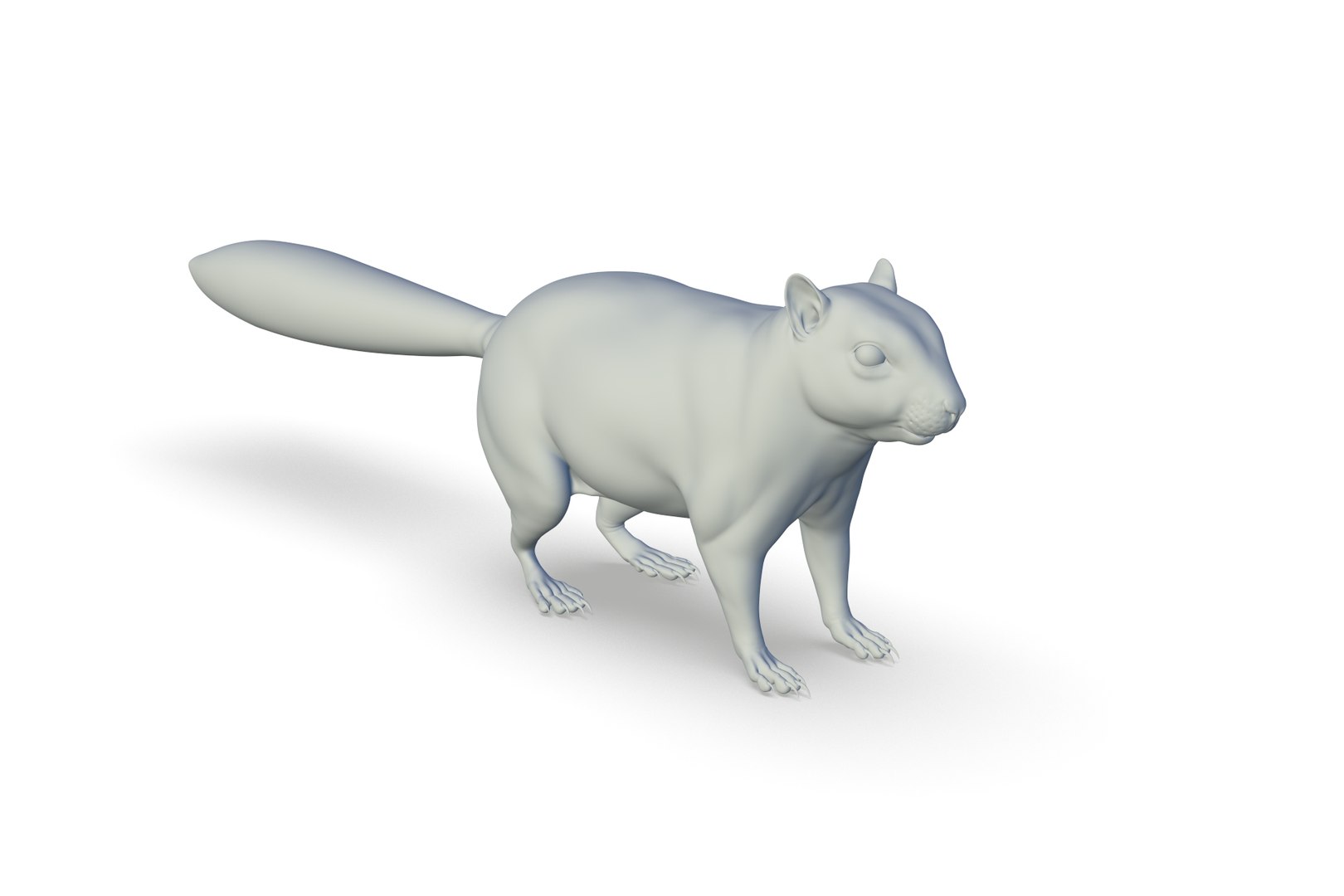 Squirrel 3D Model - TurboSquid 2213716