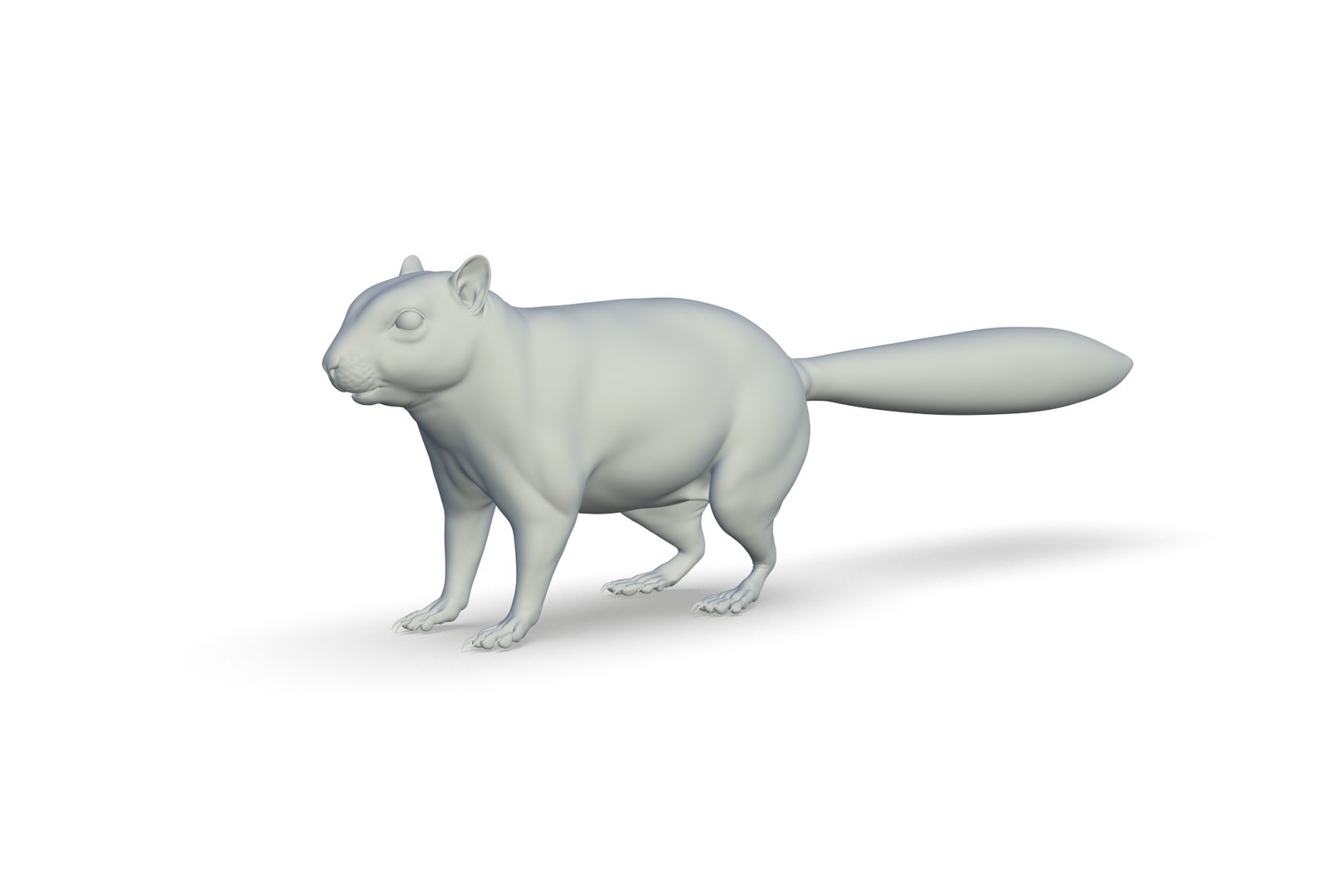 Squirrel 3D Model - TurboSquid 2213716