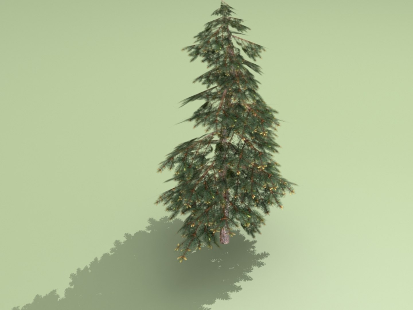 3ds max spruce https://p.turbosquid.com/ts-thumb/lp/4KlXtc/7rzZdTkR/e3/jpg/1413453165/1920x1080/fit_q87/8dba2970a14b8de01a7c10f3a0591d452233f26f/e3.jpg