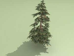 3ds max spruce
