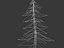 spruce