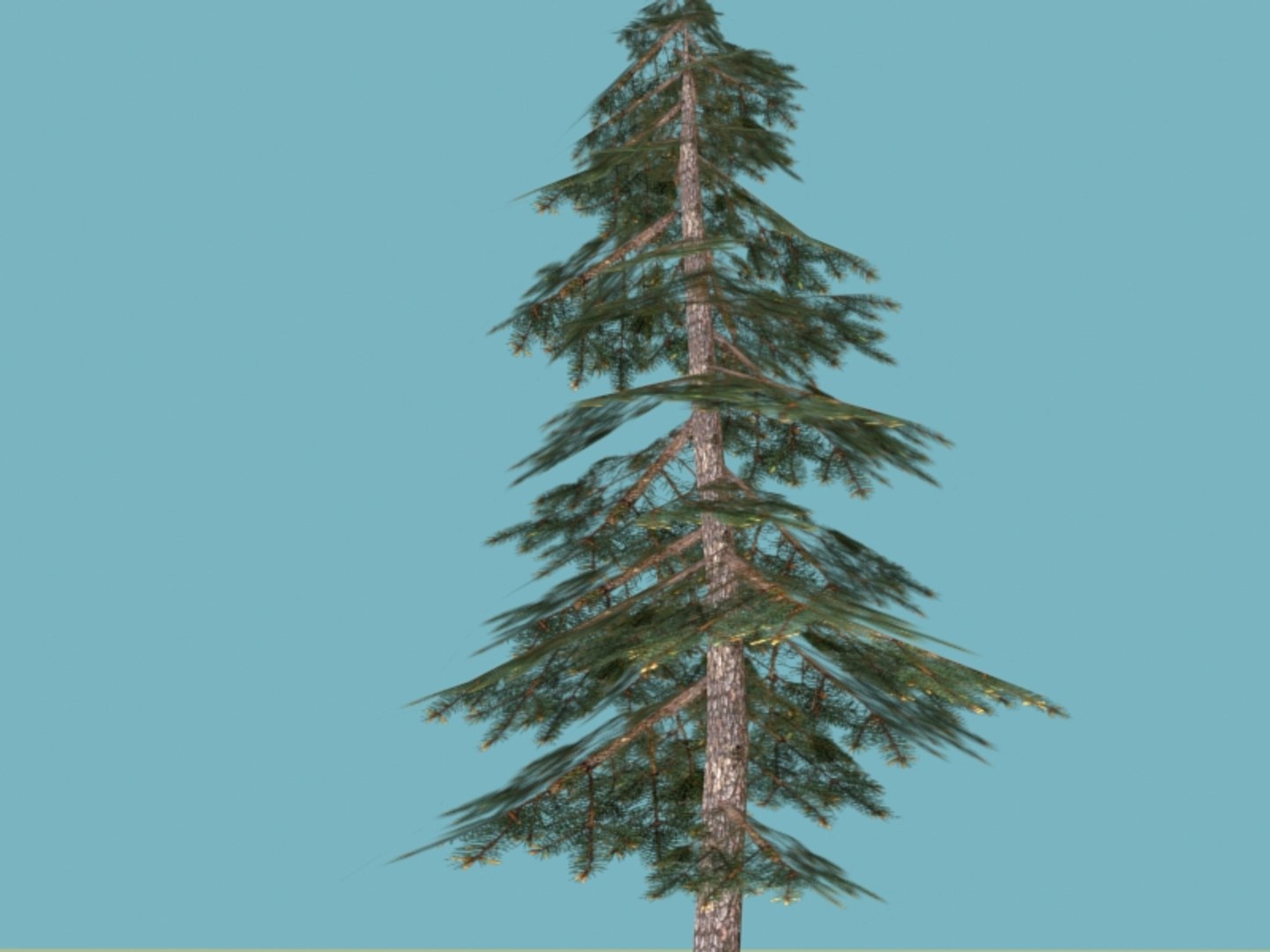 3ds max spruce https://p.turbosquid.com/ts-thumb/lp/4KlXtc/KX54a5HM/e5/jpg/1413453223/1920x1080/fit_q87/02ae2075e56cd4c98e73bcdcc947d388b31516fa/e5.jpg