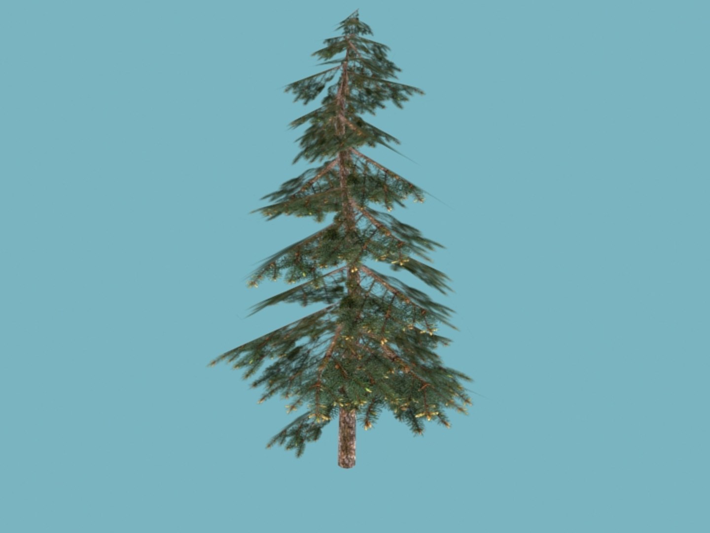 3ds max spruce https://p.turbosquid.com/ts-thumb/lp/4KlXtc/opgPpm7w/e1/jpg/1413453201/1920x1080/fit_q87/6589e75458a5917d2114abd1912ad541a6ded365/e1.jpg