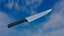 Generic Kitchen Knife