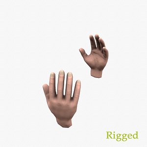 hands rig animations 3D model