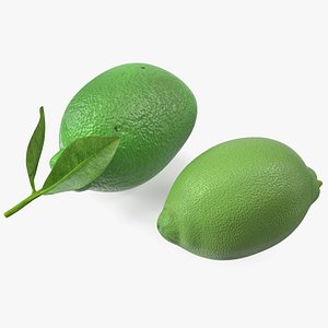 3D Green Lemon