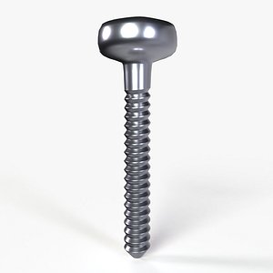 SCREW XIV 3D model